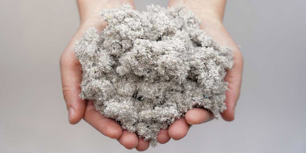 Les matériaux dérivés du bois : une solution à la crise des plastiques?