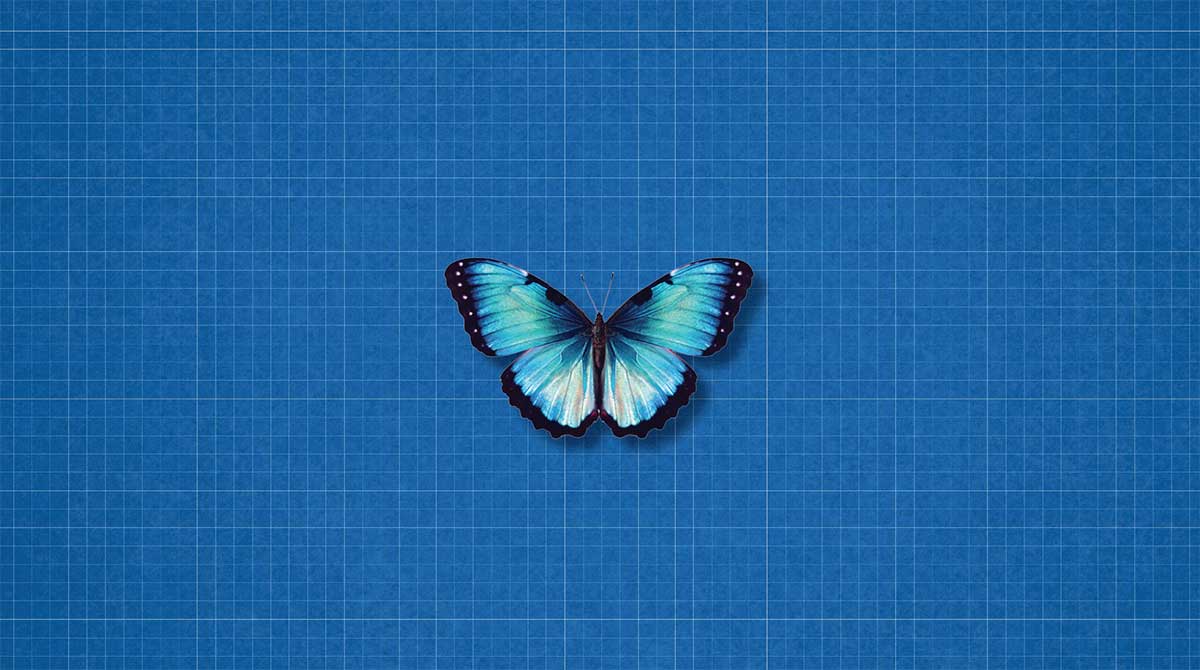 2021 Annual Report