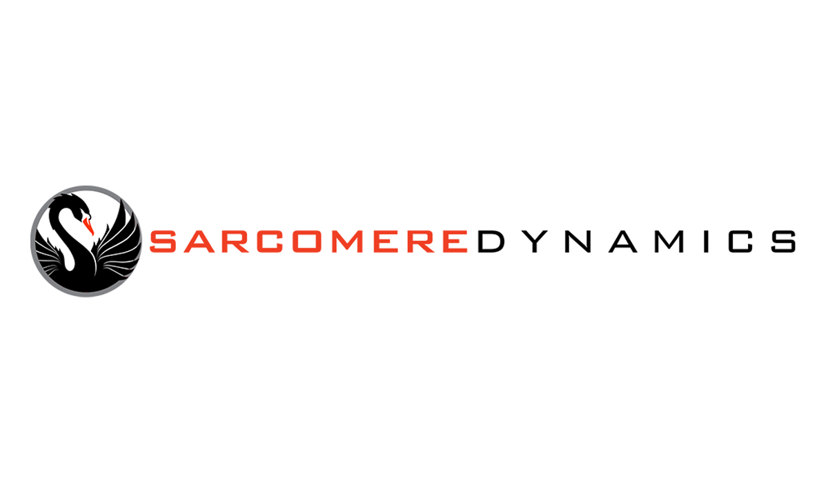 Dynamique des sarcomères